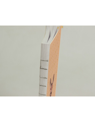 Notebook cusut Funny Company, A5, Clairefontaine, Velin,CAI199