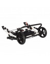 Carucior Gemeni Pj Stroller 2 In 1 Flowers Carucior Gemeni Pj Stroller 2 In 1 Flowers