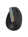MOUSE DELUX, notebook, PC, wireless, 2.4 GHz, optic, 1600 dpi