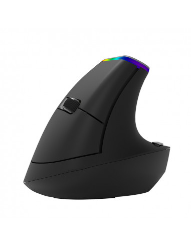 MOUSE DELUX, notebook, PC, wireless, 2.4 GHz, optic, 1600 dpi