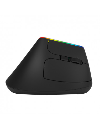 MOUSE DELUX, notebook, PC, wireless, 2.4 GHz, optic, 1600 dpi