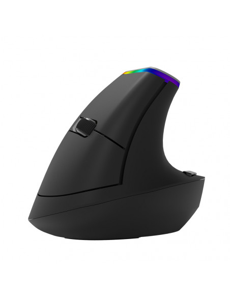 MOUSE DELUX, notebook, PC, wireless, 2.4 GHz, optic, 1600 dpi
