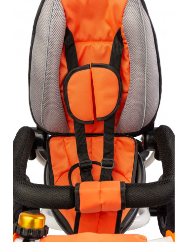 Tricicleta pliabila cu scaun reversibil Toyz WROOM
