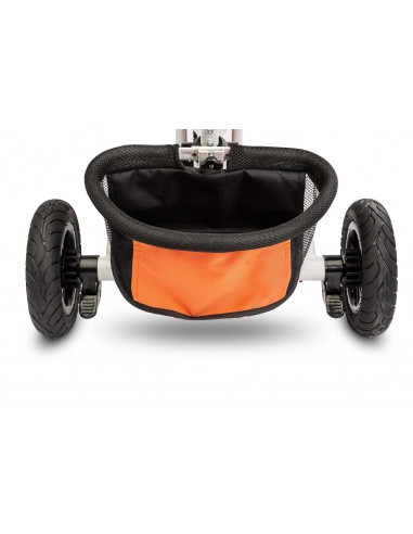 Tricicleta pliabila cu scaun reversibil Toyz WROOM