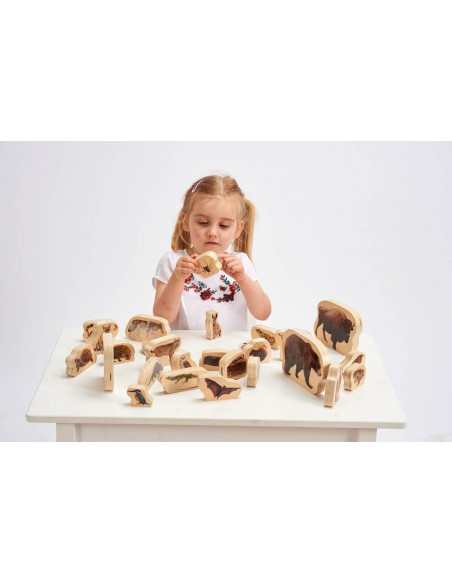 Blocuri de lemn cu animale salbatice, TickiT, set de 30,CD72304