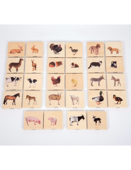 Gaseste perechea: animale domestice,CD73406