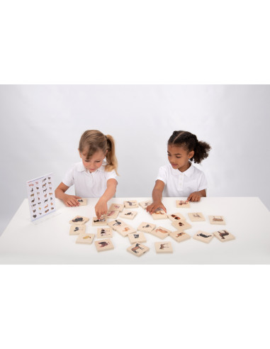 Gaseste perechea: animale domestice,CD73406