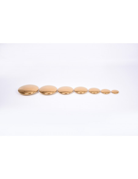 Discuri senzoriale reflective aurii,CD72219