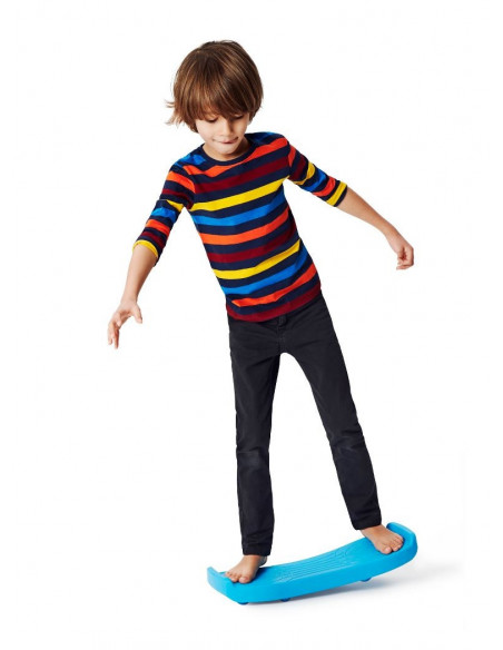 Placa de echilibru Roboboard,G2260