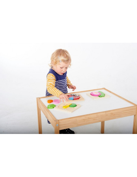 Set de 3 puzzle lemn INSECTE,CD76065