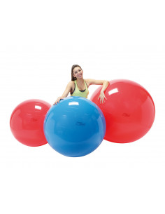 Minge fizioterapeutica Gymnic Fizio 120-rosu,Gym9598 2
