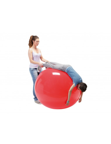 Minge fizioterapeutica Gymnic Fizio 120-rosu,Gym9598