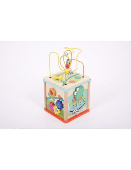 Cub de activitate 5 in 1,CD76110