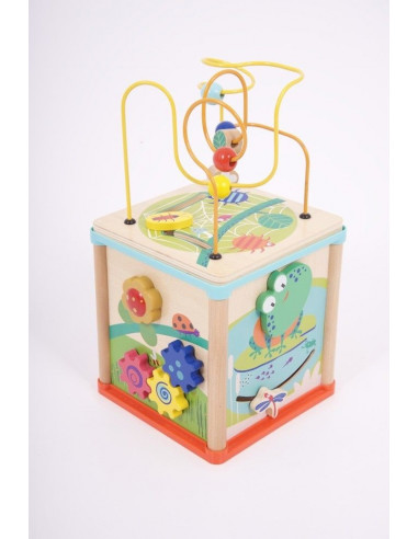 Cub de activitate 5 in 1,CD76110