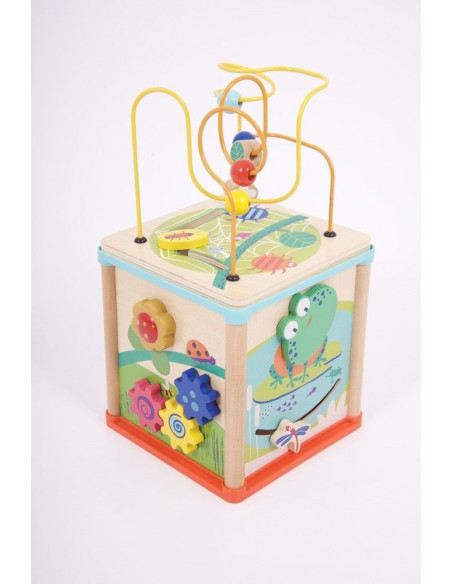 Cub de activitate 5 in 1,CD76110