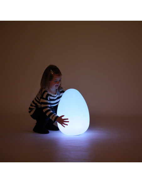 Ou senzorial luminos,CD75552