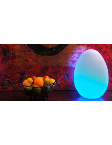 Ou senzorial luminos,CD75552