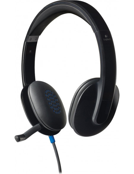 CASTI Logitech, "H540", cu fir, standard, utilizare multimedia CASTI Logitech, "H540", cu fir, standard, utilizare multimedia