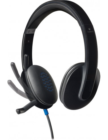 CASTI Logitech, "H540", cu fir, standard, utilizare multimedia CASTI Logitech, "H540", cu fir, standard, utilizare multimedia