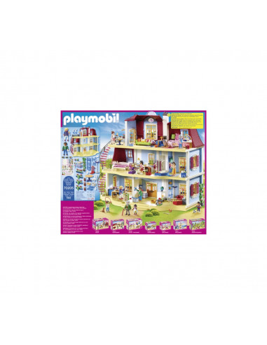 CASA MARE DE PAPUSI,70205