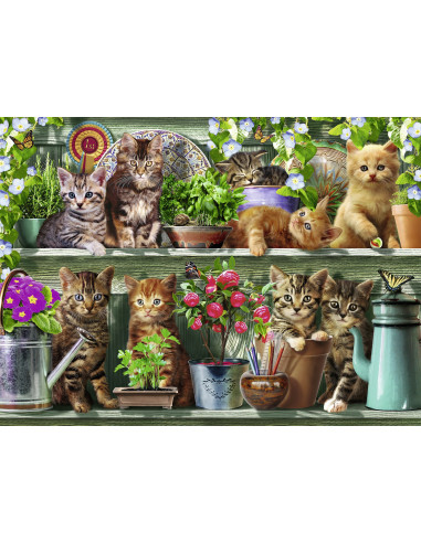 PUZZLE PISICI PE RAFT, 500 PIESE,RVSPA14824