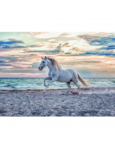 PUZZLE CAL PE PLAJA, 500 PIESE,RVSPA16586 2