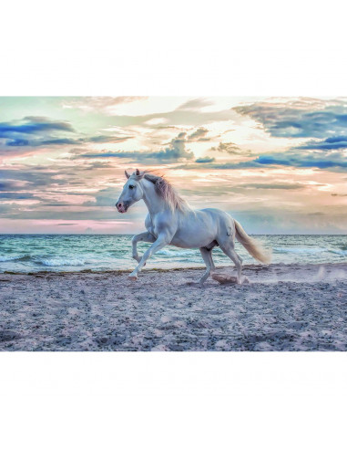 PUZZLE CAL PE PLAJA, 500 PIESE,RVSPA16586