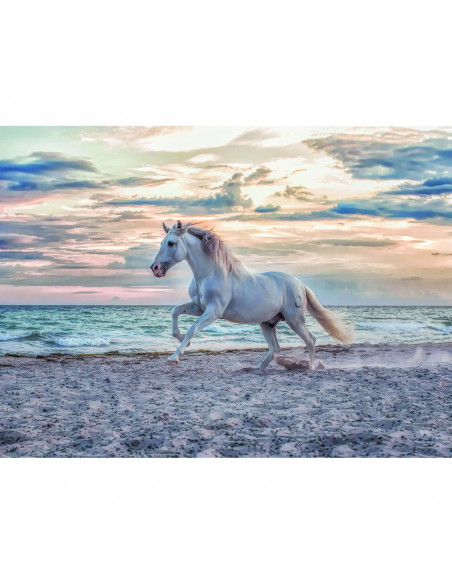 PUZZLE CAL PE PLAJA, 500 PIESE,RVSPA16586