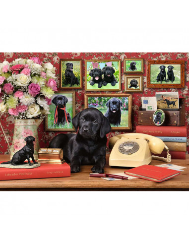 PUZZLE CATEL LOIAL, 500 PIESE,RVSPA16591