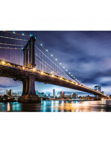 PUZZLE NEW YORK, 500 PIESE,RVSPA16589