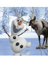 PUZZLE + JOC MEMORY FROZEN 3 BUC IN CUTIE 25/36/49