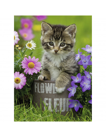 PUZZLE PISICUTA INTRE FLORI, 100 PIESE,RVSPC10847
