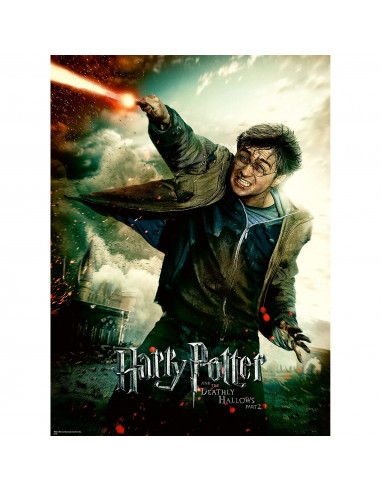 PUZZLE HARRY POTTER, 100 PIESE,RVSPC12869