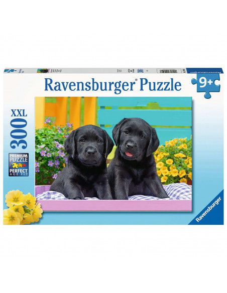 PUZZLE CATELUSI, 300 PIESE,RVSPC12950