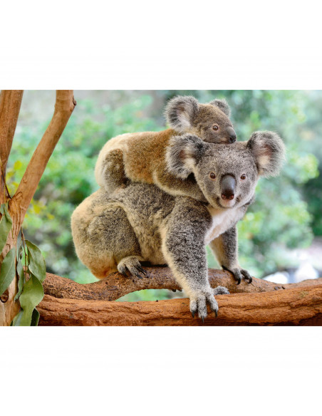 PUZZLE KOALA, 200 PIESE,RVSPC12945