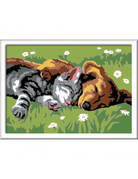 PICTURA PE NUMERE - CATELUS SI PISICUTA,RVSPBN28930