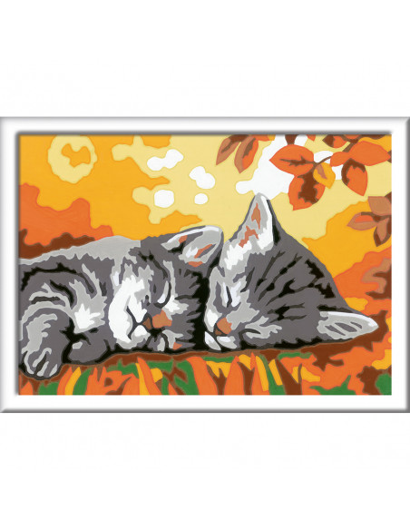 PICTURA PE NUMERE - PISICUTE SOMNOROASE,RVSPBN28932