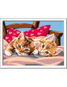 PICTURA PE NUMERE - PISICUTE,RVSPBN28938 2