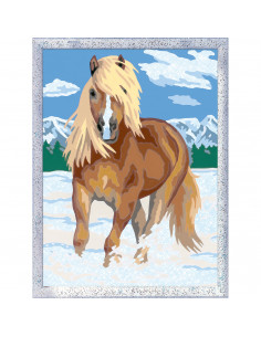 PICTURA PE NUMERE - CAL,RVSPBN28940 2