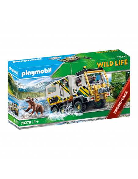 CAMION DE EXPEDITIE IN NATURA,70278