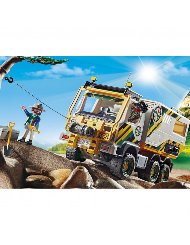CAMION DE EXPEDITIE IN NATURA,70278
