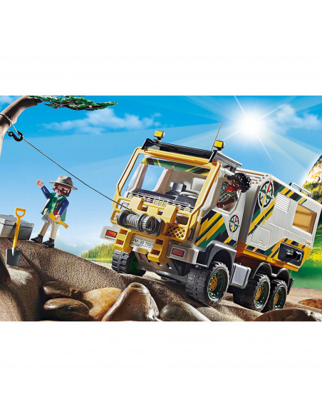 CAMION DE EXPEDITIE IN NATURA,70278