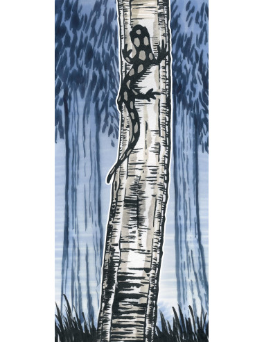 FC167804,PITT ARTIST PEN SOFT BRUSH SET 4 BUC FABER-CASTELL