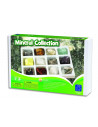 Kit paleontologie - Minerale,EI-5207