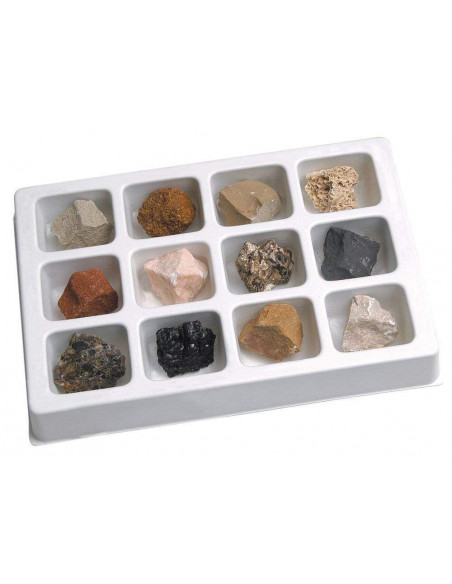 Kit paleontologie - Roci sedimentare,EI-5208