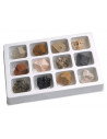 Kit paleontologie - Roci sedimentare,EI-5208