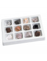 Kit paleontologie - Roci vulcanice,EI-5205