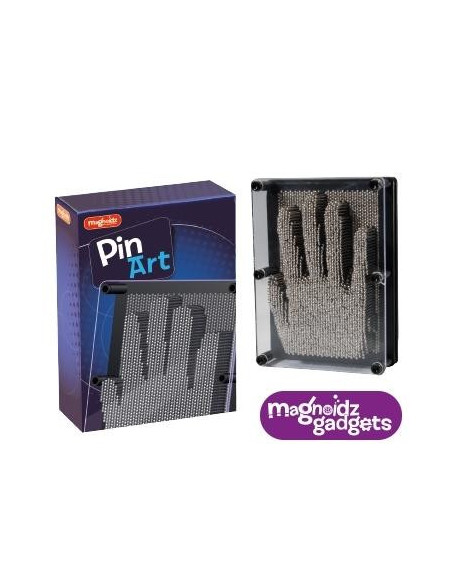 Tablou Pin Art,SC267