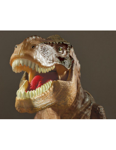 Proiector 2 in 1 - T Rex,E2028