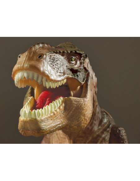 Proiector 2 in 1 - T Rex,E2028